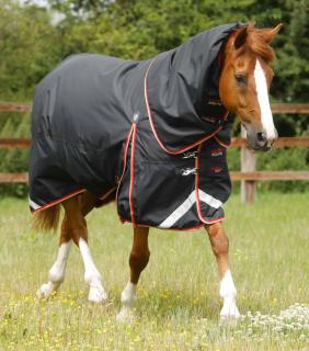 Výběhová deka s odnímatelným krkem Buster (100g) (Premier Equine 220250N)