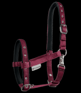 Waldhausen - Hříběcí ohlávka Comfort (5044401)