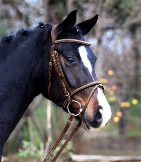 Waldhausen - X-Line Uzdečka Bridle Santander (Waldhausen - X-Line Uzdečka Bridle Santander)