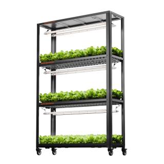 Glow80 Spider Farmer Kompletní regál pro microgreens 240W