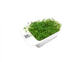 Microgreens kapsle Leaf Learn - Jetel