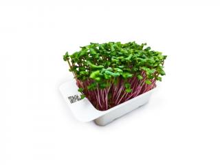 Microgreens kapsle Leaf Learn - Ředkev china rose