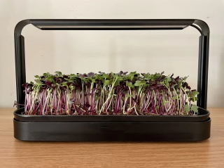 MicroGrow set pro pěstování microgreens 16W