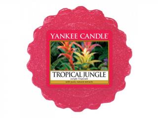 Yankee Candle vonný vosk Tropical Jungle 22 g