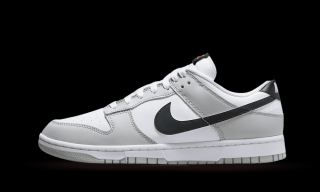 Nike Dunk Low  Lottery  Velikost: 40.5