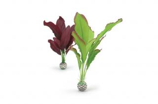 Balení rostlin zelená / fialová střední (46101)