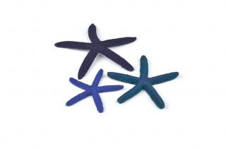 BiOrb Star Fish Decor set modrá 12, 10 a 8 cm
