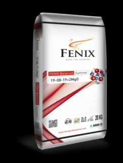 FENIX Balanced Summer 19-08-19+2MgO 20 kg