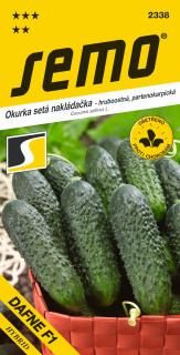 Okurka nakl. hustoostn. DAFNE F1