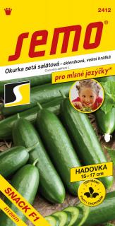 Okurka setá salátová Snack F1
