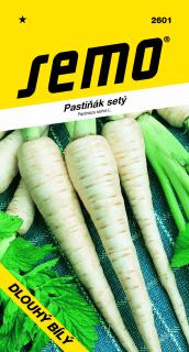 Pastiňák DLOUHÝ BÍLÝ