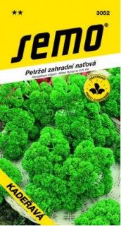 Petržel nať. KADEŘAVÁ