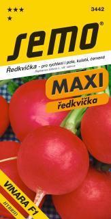 Ředkvička VINARA F1