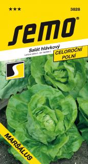 Salát hlávkový MARŠÁLUS