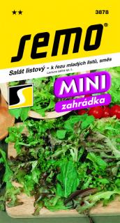Salát listový SMĚS K ŘEZU ML.LISTU