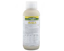 Scala 1l