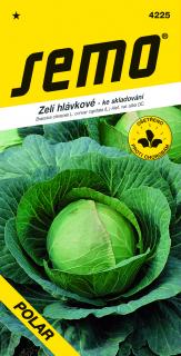 Zelí POLAR