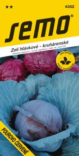 Zelí POUROVO ČERVENÉ