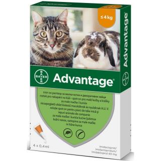 Advantage spot-on pro kočky do 4kg 4x0,4ml