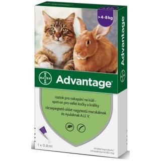 Advantage spot-on pro kočky nad 4kg 1x0,8ml