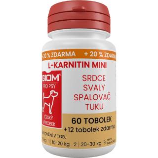 GIOM L-karnitin Aktiv 60 MINI tbl+20% zdarma