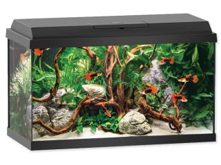 Juwel akvarijní set Primo LED 60 černý 61 x 31 x 37 cm, 60 l