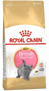 Royal Canin British Shorthair Kitten 10 kg