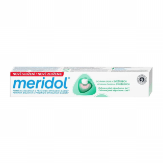 Meridol zubní pasta 75 ml Ochrana dásní a svěží dech