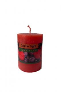 Z-Trade svíčka válec 1 ks 55x75 mm Candle Light Lesní ovoce