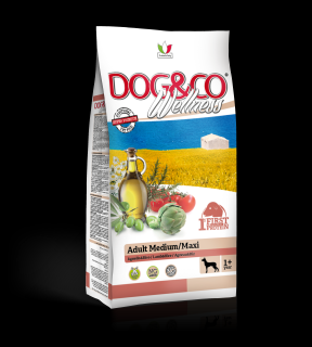 Dog&amp;co wellness adult medium/maxi jehněčí s rýží 12kg (super-premium)  (kompletní vyvážené krmivo pro dospělé psy středních a velkých plemen)