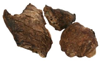 PLÍCE - 500g (velké balení)