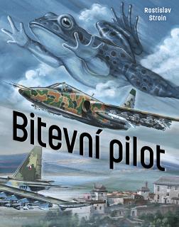 Bitevní pilot (Rostislav Stroin)