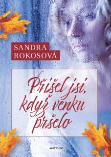 Přišel jsi, když venku pršelo (Sandra Rokosová)