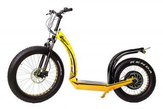 HUGO bike BIG ONE X