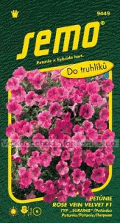 Petunie typ &quot;surfinie&quot; ROSE VEIN