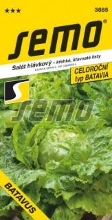 Salát BATAVUS