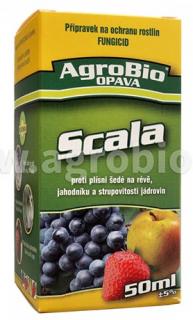 Scala  50ml