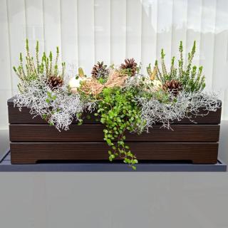 Květináče Frank | Bloom 60 | Dřevěný truhlík samozavlažovací 66 x 20,2 x 19/21 cm, eben