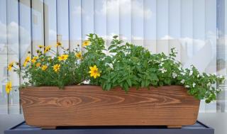 Květináče Frank | Lusk Lsk60707 | Dřevěný truhlík 65 x 20,5 x v.15,5 cm, ořech