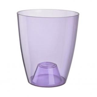 Obal Ornella na orchideje 15 cm, transparentní borůvková