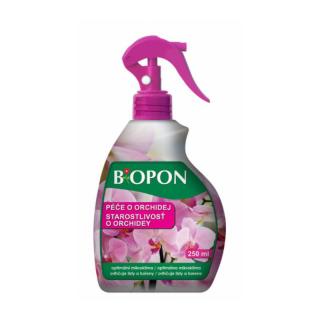 péče o orchideje, orchideje rozprašovač