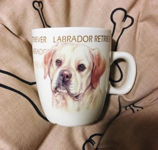 Hrnek Labrador 150 ml (skladem 3ks)