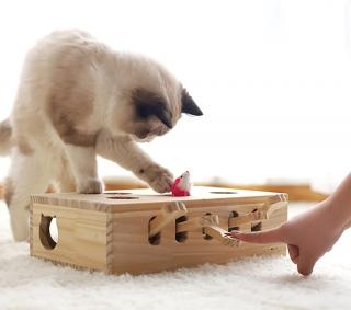 Interaktivní dřevěná hračka pro kočky s Catnipem