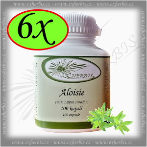 Aloisie  Ex Herbis 6 x 100 tb.