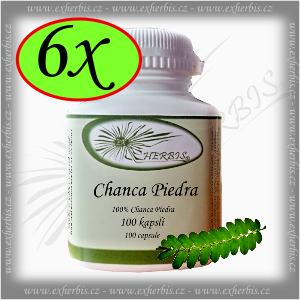 Chanca Piedra  Ex Herbis 6 x 100 tb.