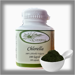 Chlorella  Ex Herbis 100 tb.