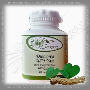 Dioscorea Wild Yam Ex Herbis 100 tb.
