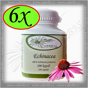 Echinacea Ex Herbis 6 x 100 tb.