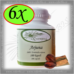 Ex Herbis Arjuna kůra 6 x 100 tb.