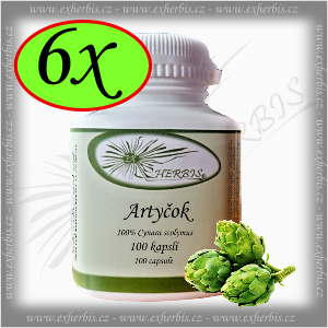 Ex Herbis Artyčok zeleninový kapsle  6 x 100tb.